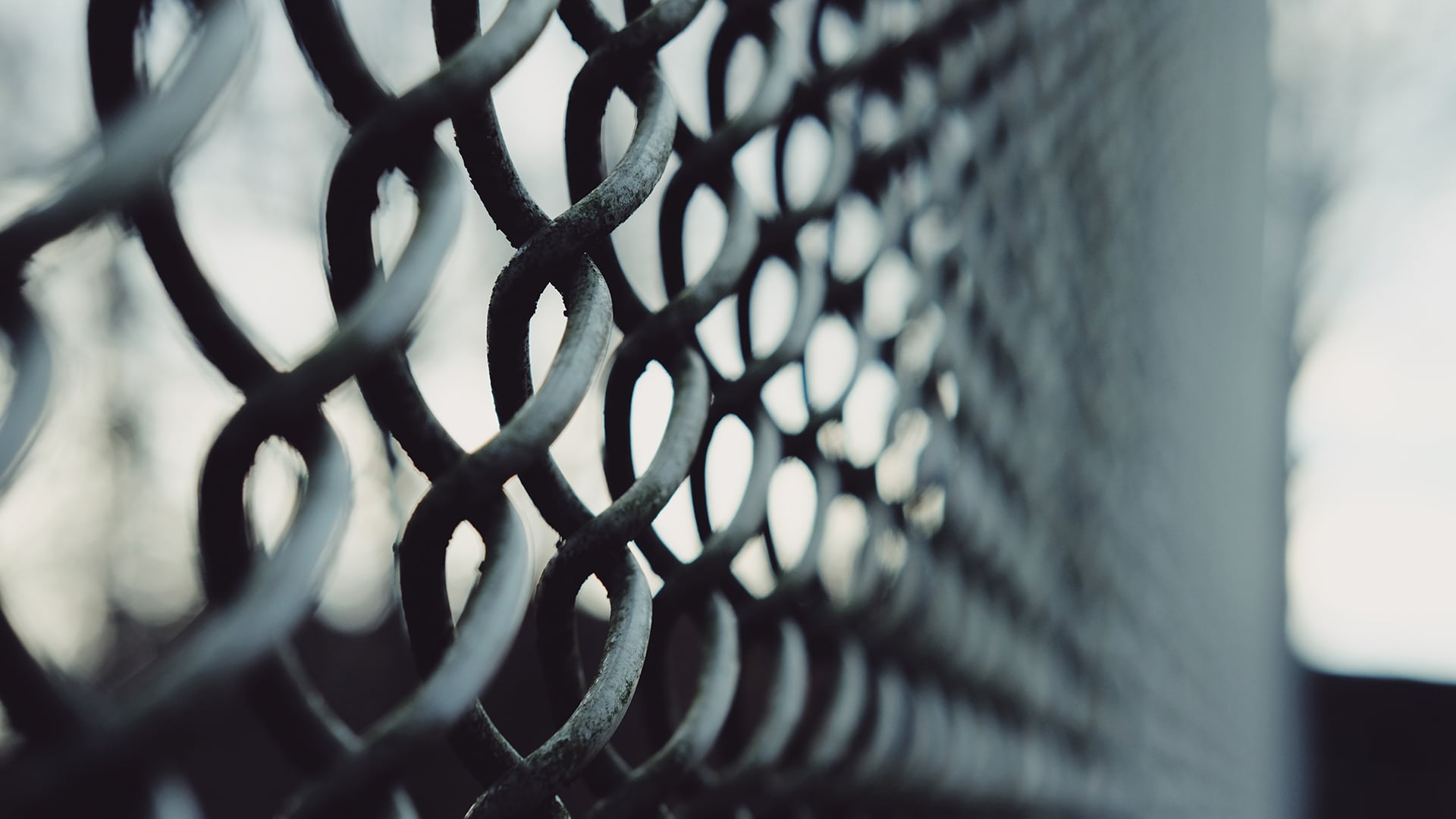 If a Man Asks for Bread, Will You Give Him a Stone?