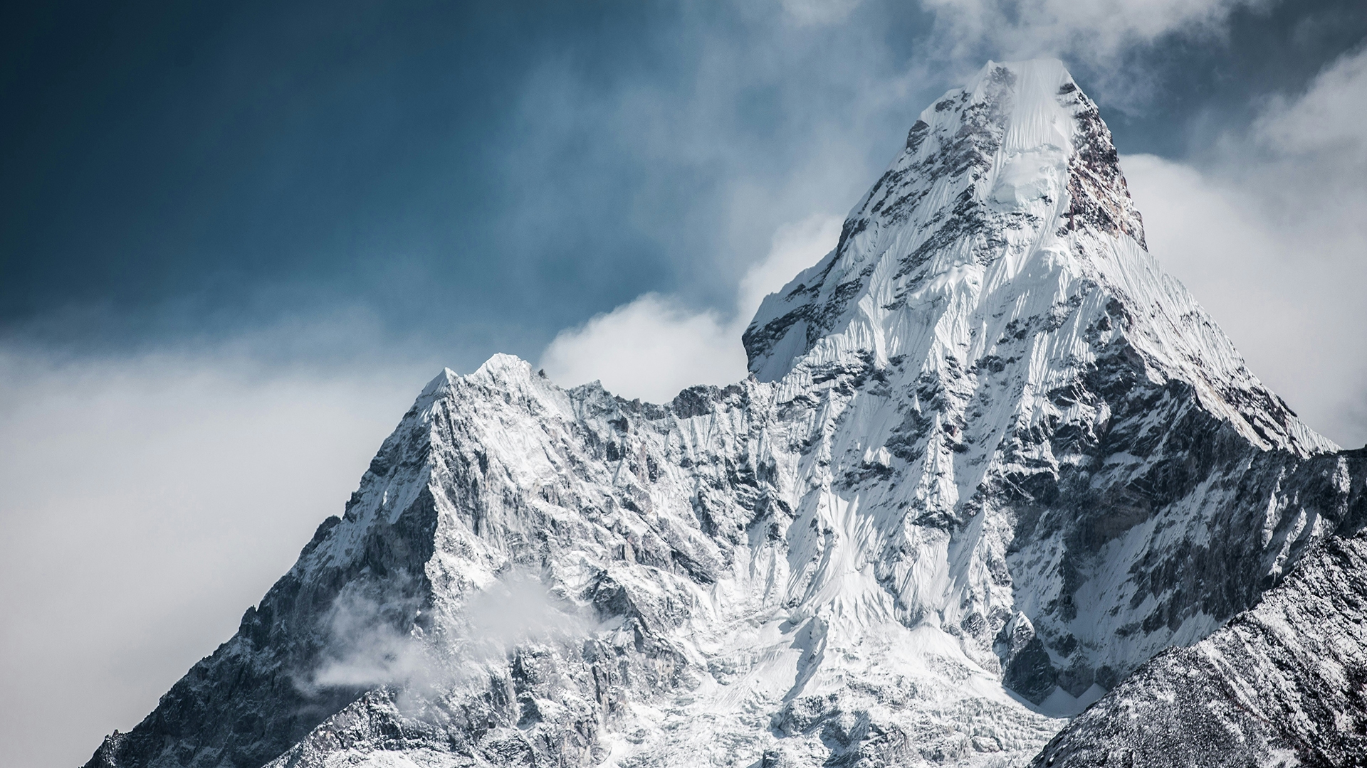 The Bond of Friendship is What Takes us to the Top.