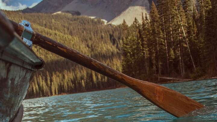 What we Learn About Ourselves from the Boys in the Boat.