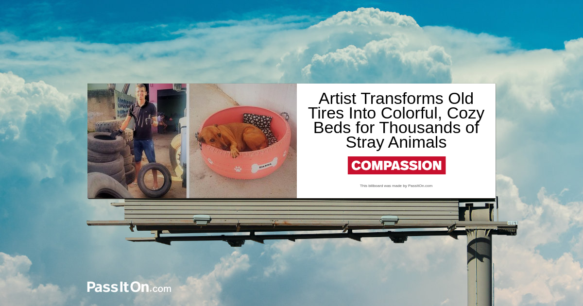 Artist Transforms Old Tires Into Colorful, Cozy Beds for Thousands of Stray Animals 