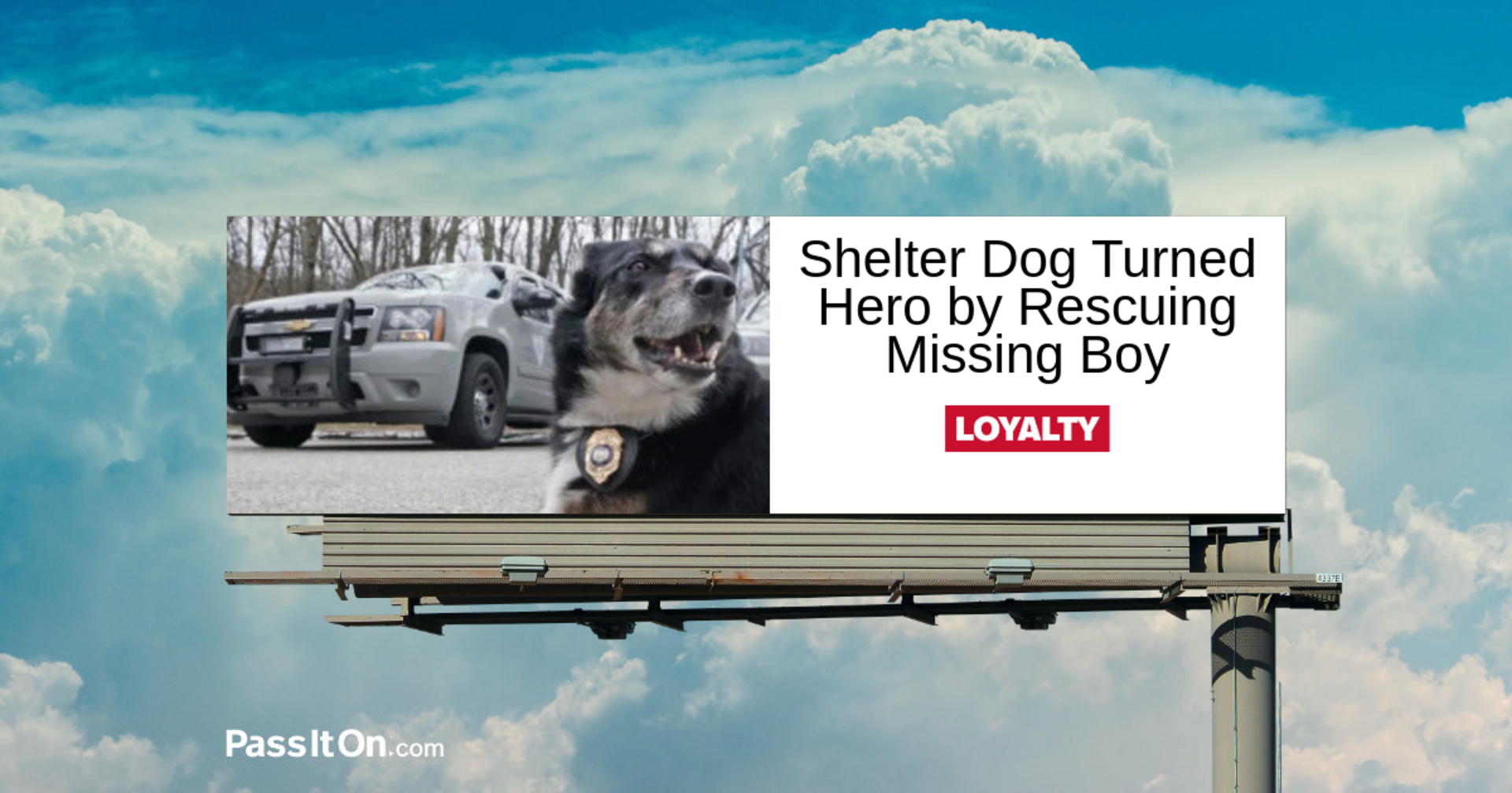 Shelter Dog Turned K-9 Hero