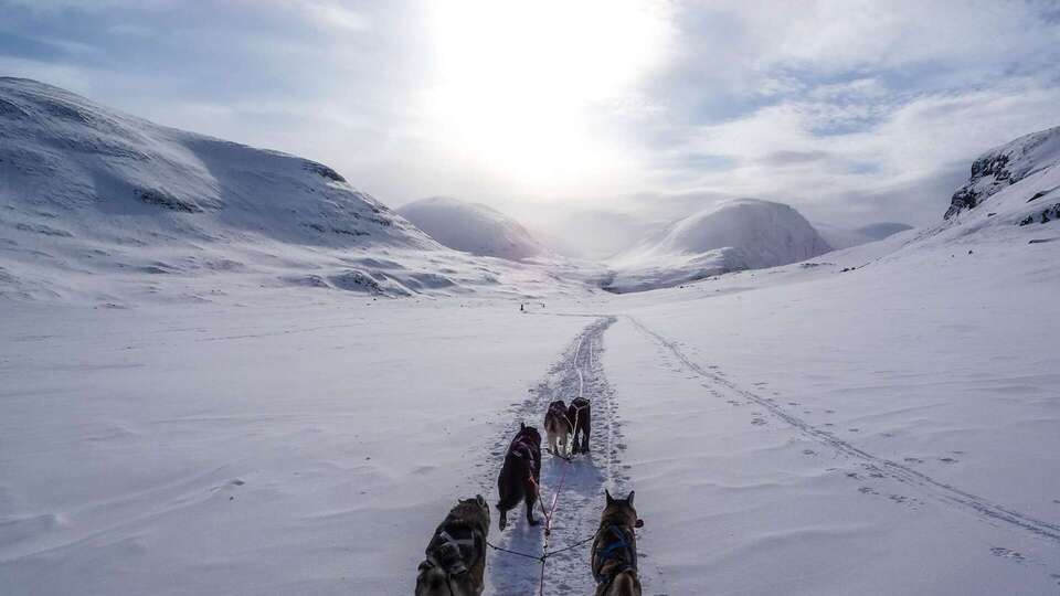 The Last American Explorer. 
