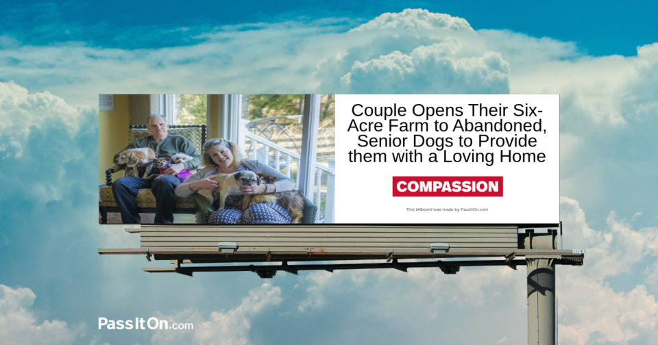 Couple Opens their Six-Acre Farm to Abandoned, Senior Dogs to Provide them with a Loving Home
