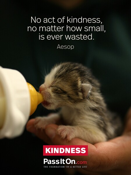 No act of kindness, no matter how small, is ever wasted. #<Author:0x00007fc8e94b35c0>