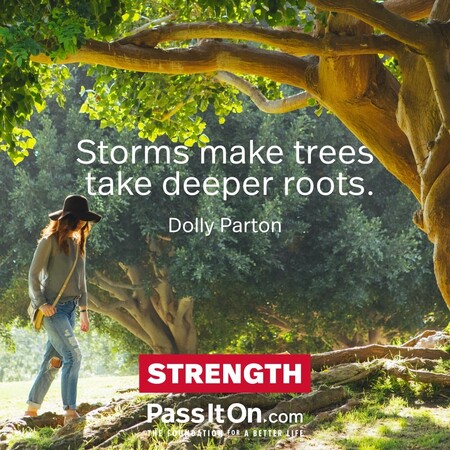 Storms make trees take deeper roots. #<Author:0x00007fc8e8f11a40>