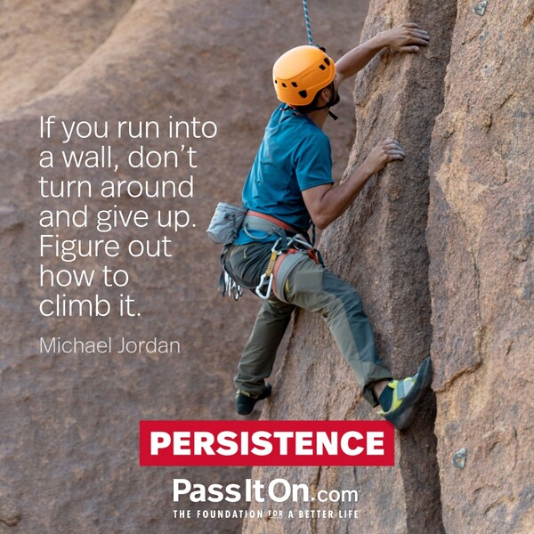 If you run into a wall, don't turn around and give up. Figure out how to climb it. #<Author:0x00007f5a5226a8c8>