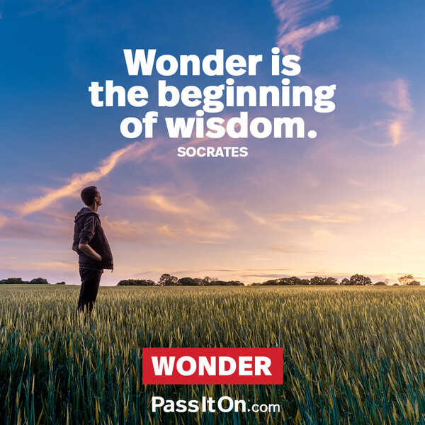 Wonder is the beginning of wisdom. #<Author:0x00007f132ef68360>