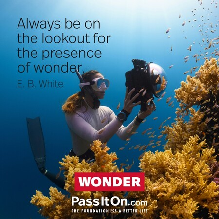 Always be on the lookout for the presence of wonder. #<Author:0x00007fc8e82449c0>