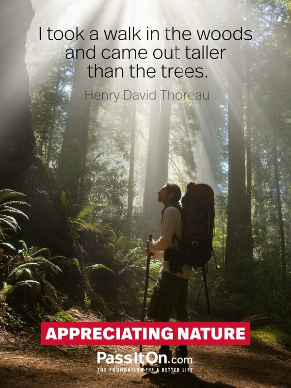 I took a walk in the woods and came out taller than the trees. #<Author:0x00007f132efb4b20>