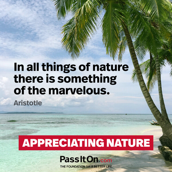 In all things of nature there is something of the marvelous. #<Author:0x00007f132ee44b00>