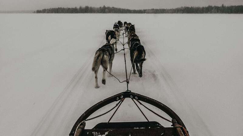 The Great Race