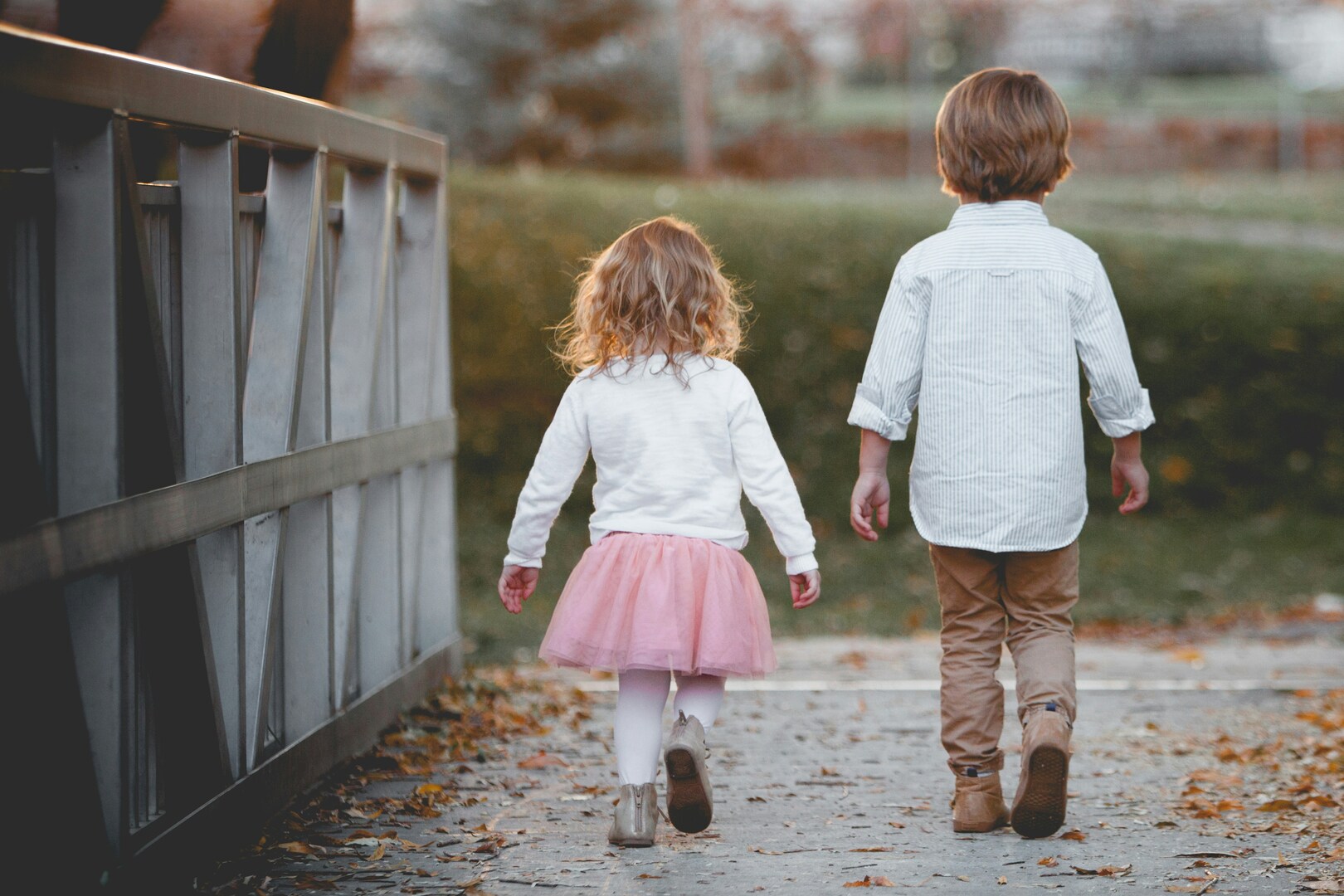 Young Boy Saves Little Sister from Brutal Dog Attack