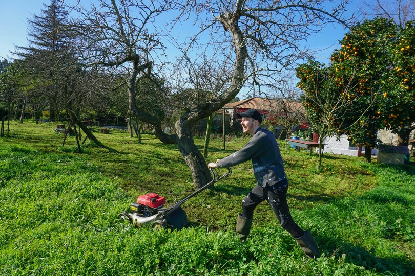 The 50 Yard Challenge – Lawn Mowing Challenge Encourages Youth to Help Neighbors 