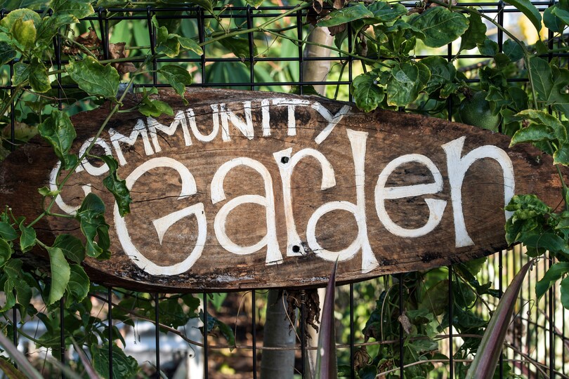 Teen Inspires Peers through Urban Garden Project.