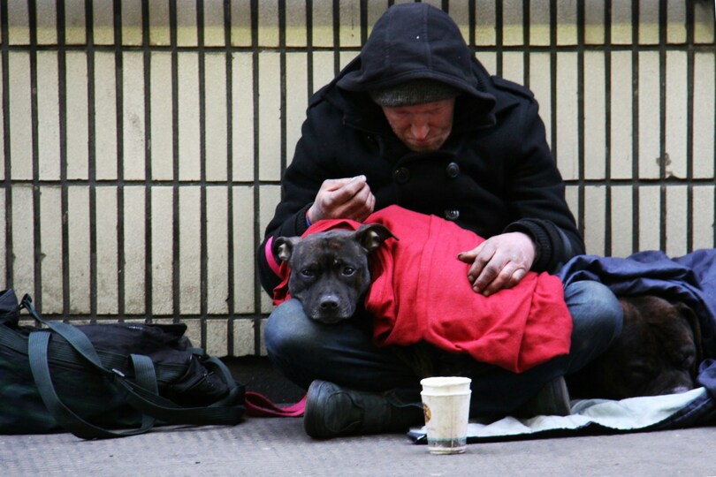 Veterinarian Treats Pets of California Unhoused Community for Free.