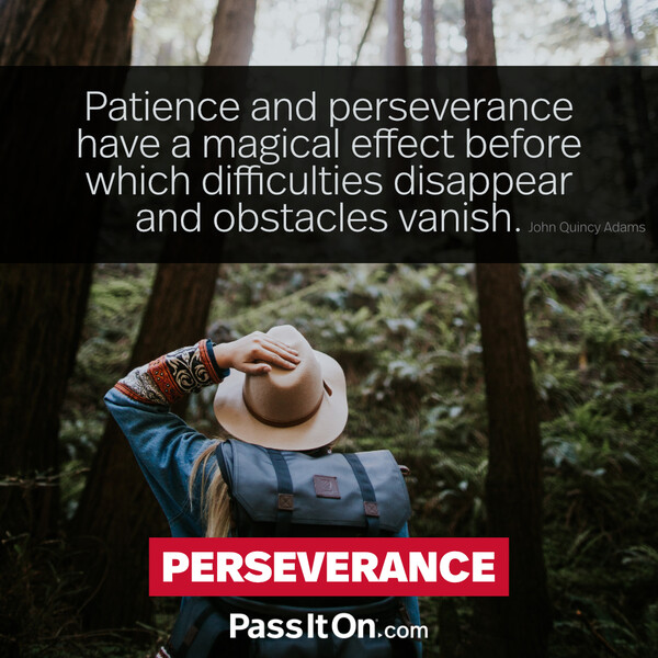 Patience and perseverance have a magical effect before which difficulties disappear and obstacles vanish. #<Author:0x00007f60fd3d6548>