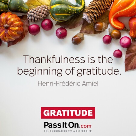 Thankfulness is the beginning of gratitude. #<Author:0x00007f60fd3553d0>