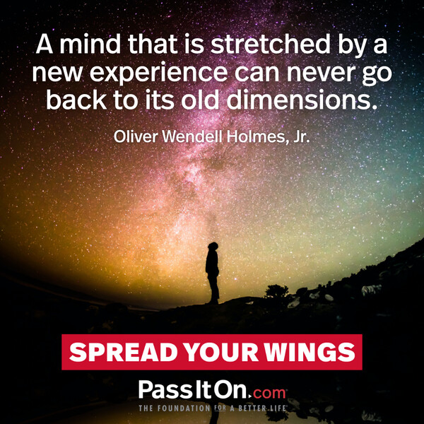 A mind that is stretched by a new experience can never go back to its old dimensions. #<Author:0x00007f60fd41f3d8>