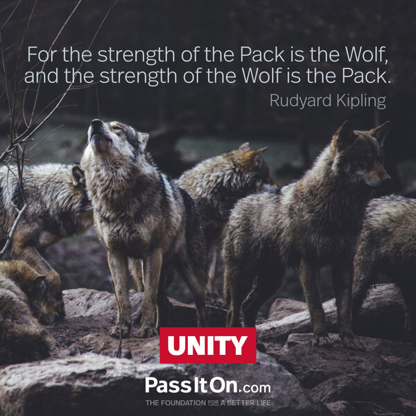 For the strength of the Pack is the Wolf, and the strength of the Wolf is the Pack.  #<Author:0x00007f60ffed0140>