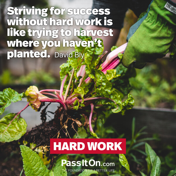 Striving for success without hard work is like trying to harvest where you haven't planted. #<Author:0x00007f60ffec1690>