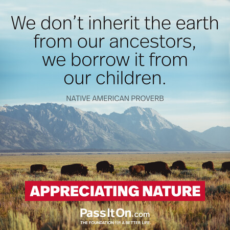 We do not inherit the land from our ancestors, we borrow it from our children.  #<Author:0x00007f388c3e6400>