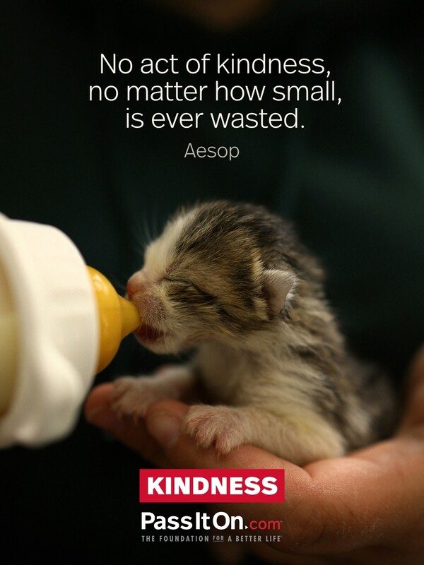 No act of kindness, no matter how small, is ever wasted. #<Author:0x00007f60fd3b17c0>