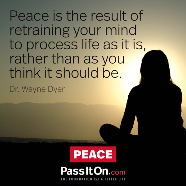 Peace is the result of retraining your mind to process life as it is, rather than as you think it should be. #<Author:0x00007f60fff35b58>