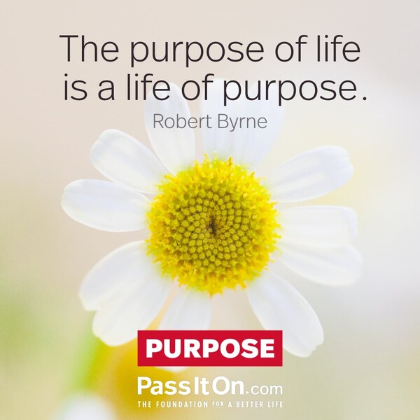 The purpose of life is a life of purpose. #<Author:0x00007f60ffe6e260>