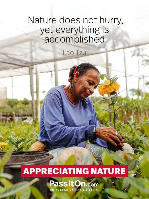 Nature does not hurry, yet everything is accomplished. #<Author:0x00007f60fd3b7bc0>