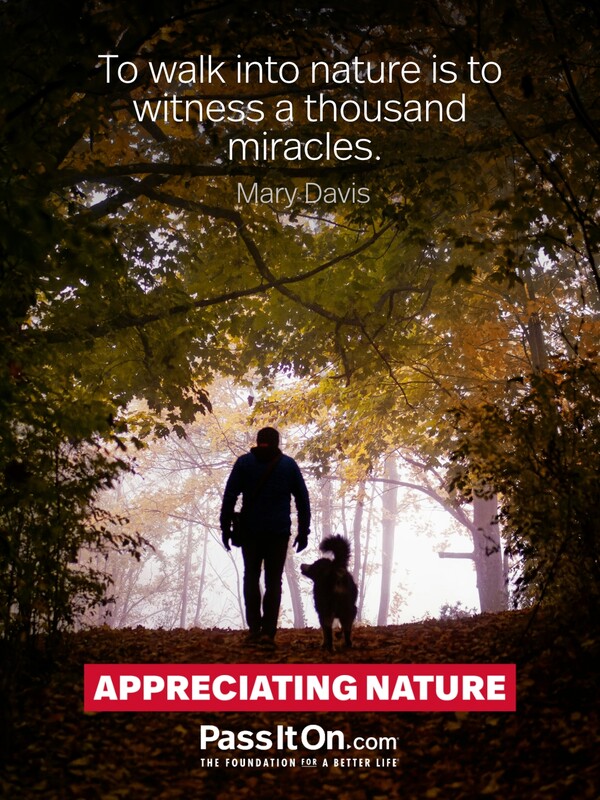 To walk into nature is to witness a thousand miracles. #<Author:0x00007f60fd3b6040>