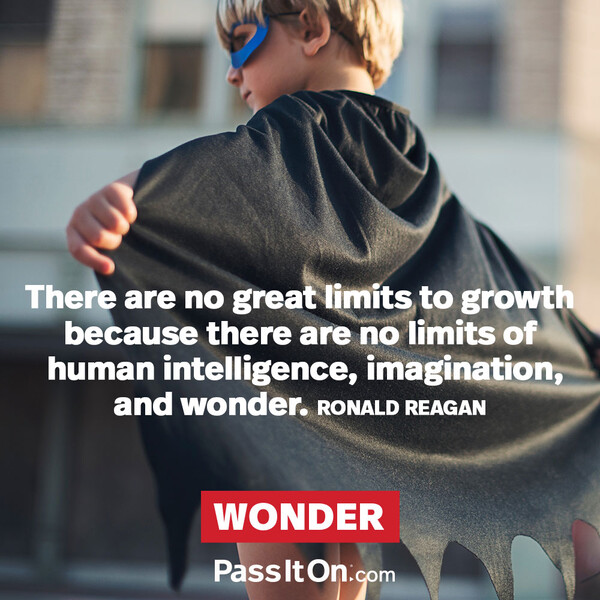 There are no great limits to growth because there are no limits of human intelligence, imagination, and wonder. #<Author:0x00007fe17459f288>