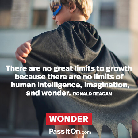 There are no great limits to growth because there are no limits of human intelligence, imagination, and wonder. #<Author:0x00007f60fe13ed98>