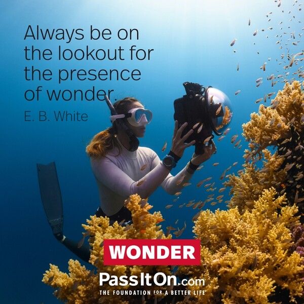 Always be on the lookout for the presence of wonder. #<Author:0x00007f60fd41e758>