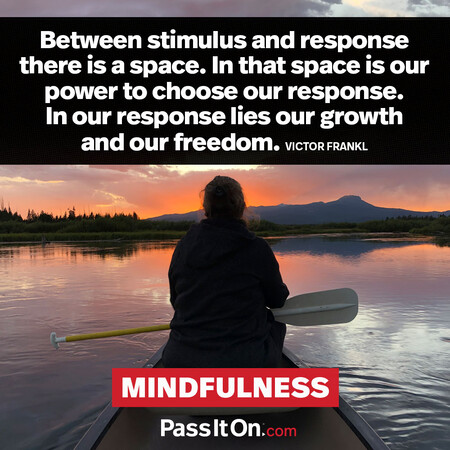 Between stimulus and response there is a space. In that space is our power to choose our response. In our response lies our growth and our freedom. #<Author:0x00007f60ffeec958>