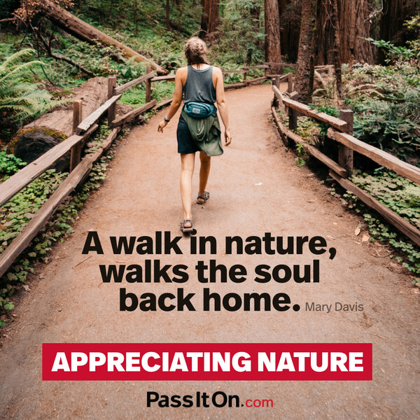 A walk in nature, walks the soul back home. #<Author:0x00007f60fd3db2c8>