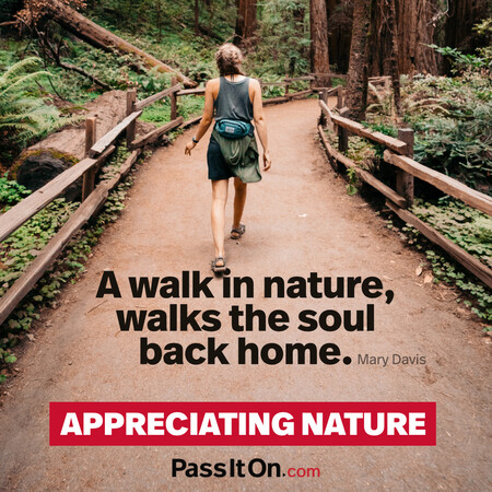 A walk in nature, walks the soul back home. #<Author:0x00007f60ffeb4260>