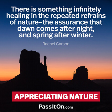 There is something infinitely healing in the repeated refrains of nature – the assurance that dawn comes after night, and spring after winter. #<Author:0x00007f60fe194888>