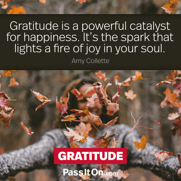 Gratitude is a powerful catalyst for happiness. It’s the spark that lights a fire of joy in your soul.  #<Author:0x00007f60fff521e0>
