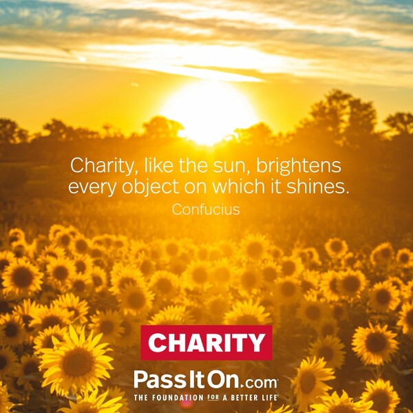 Charity, like the sun, brightens every object on which it shines. #<Author:0x00007f60fff076e0>